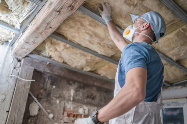 Professional Insulation Contractor in Semmes, AL