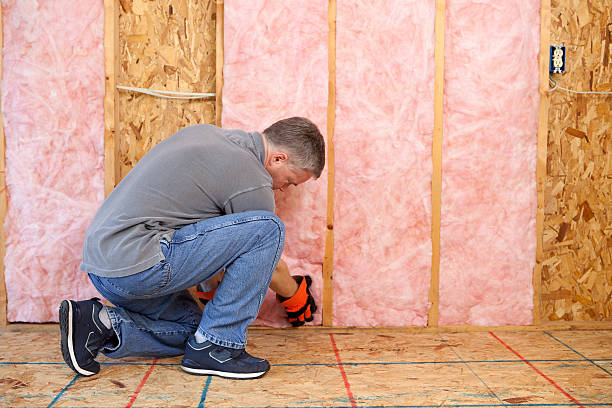 Best Specialized Insulation Services in Semmes, AL